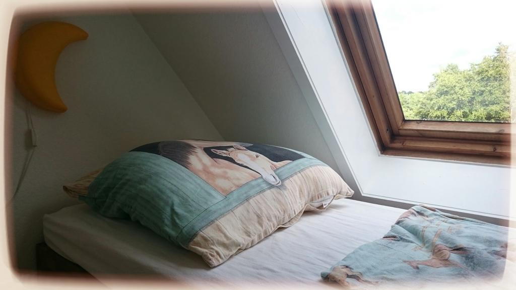 Heidezeit Apartment Hanstedt Cameră foto